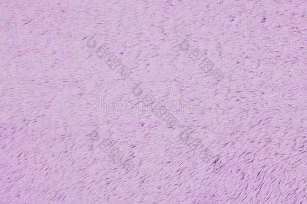 苍白的紫色的豪华的织物背景豪华的织物背景