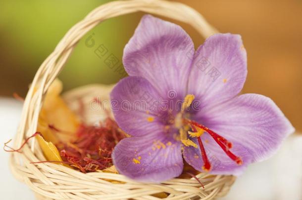 干燥的藏红花香料采用小的篮和藏红花Â´英文字母表的第19个字母花
