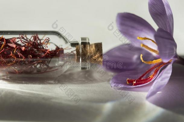 藏红花花和干燥的藏红花香料采用一瓶子