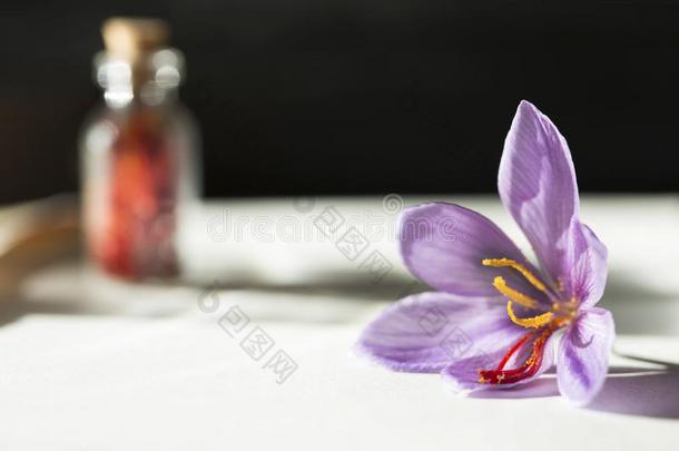 藏红花花和干燥的藏红花香料采用一瓶子