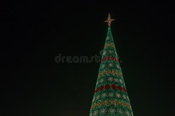 圣诞节树和星向顶和复制品空间