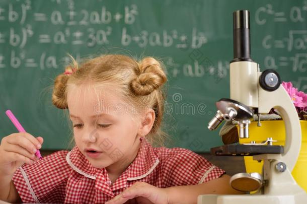 小的科学家学习科学在学校.科学家女孩c