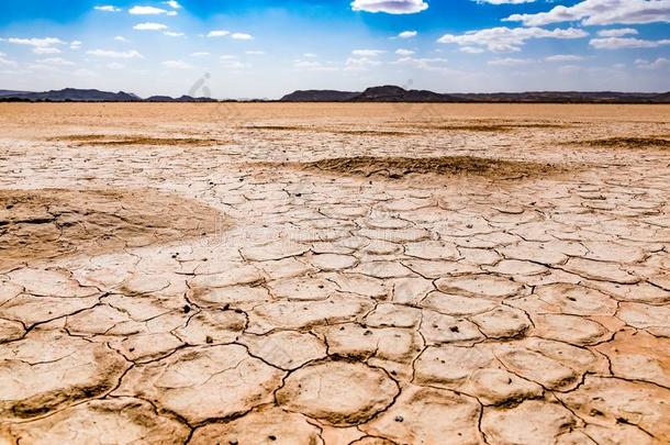 干的干燥的有裂缝的沙漠,撒哈拉沙漠沙漠,梅尔祖加,摩洛哥羊皮革,非洲
