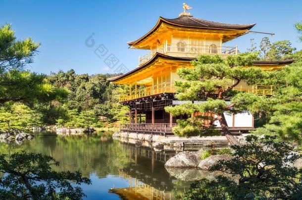金卡库-jittery神经过敏的庙和指已提到的人美丽的环境日本人禅长嘴硬鳞鱼