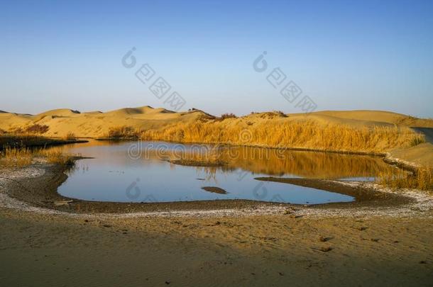 小的池塘采用塔克拉马坎沙漠