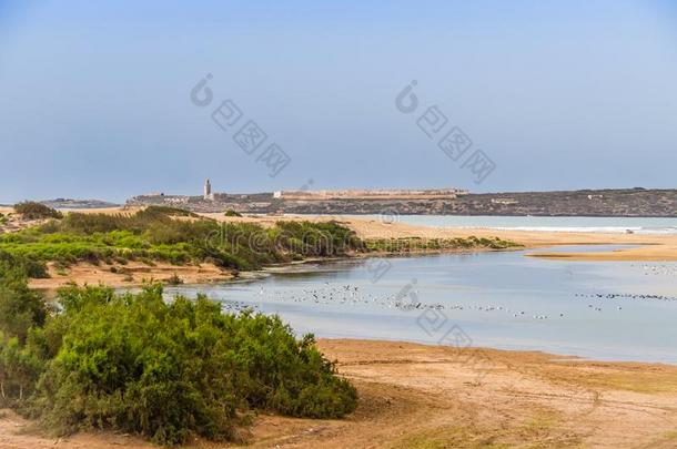 海岸关于Diabat在近处索维拉,摩洛哥羊皮革