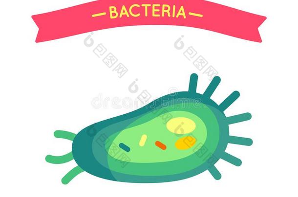 细菌海报细胞特写镜头矢量说明