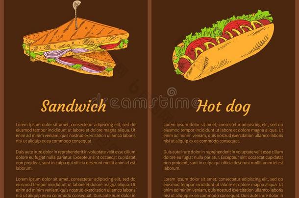 三明治和热的狗招贴矢量说明