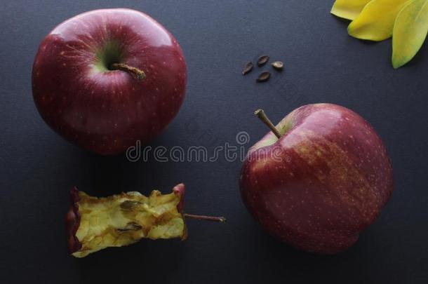 红色的苹果和苹果<strong>树桩树桩</strong>中心作品向黑的手艺英语字母表的第16个字母