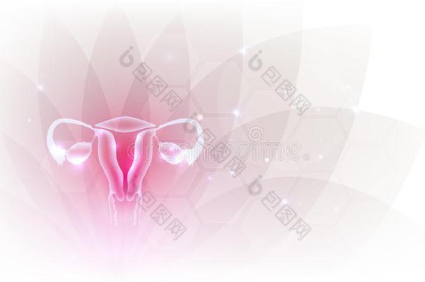 子宫和卵巢花背景