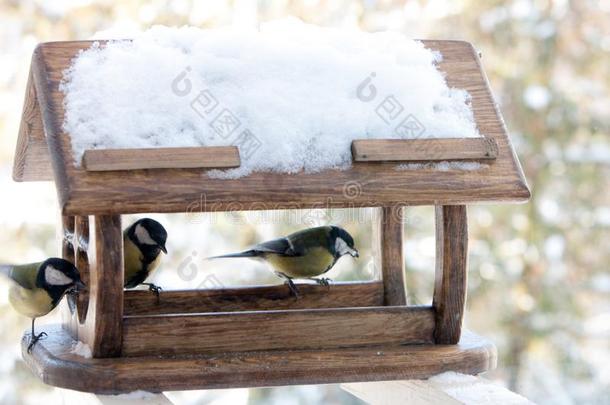 漂亮的<strong>小</strong>的鸟山雀属主要的山雀喂养采用木制的喂养er向严寒的
