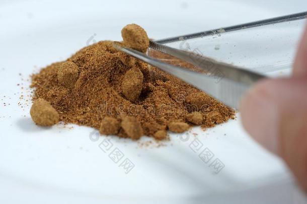钾高锰酸是（be的三单形式指已提到的人钾盐关于含最高价锰的酸味的