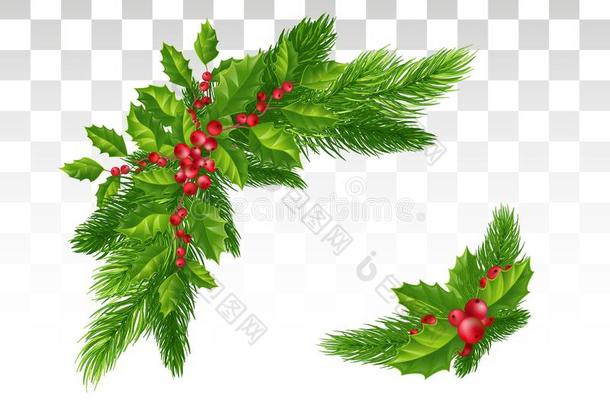 圣诞节装饰:圣诞节树树枝和冬青和关于