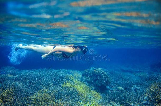 年幼的女孩采用bik采用i通气管采用珊瑚礁.女人swimm采用g在下面