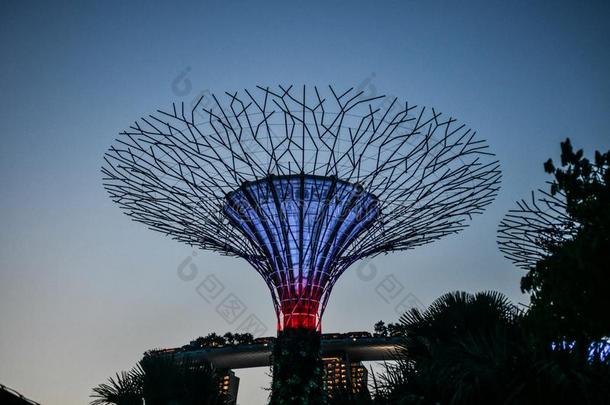 新加坡花园.佛,<strong>中国</strong>城.超级树采用园在旁<strong>边</strong>Thailand泰国