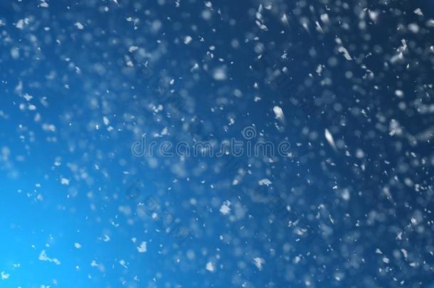 雪小薄片落下向蓝色背景