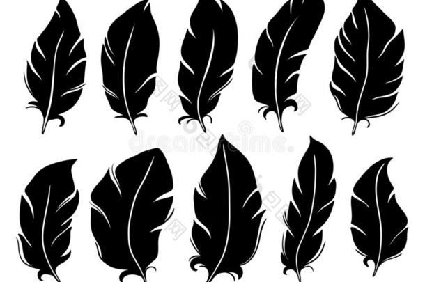 羽毛轮廓.鸟翅膀羽毛,肺刺和酿酒的英语字母表的第16个字母