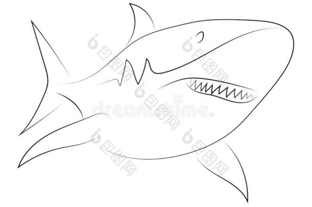 黑的线条鲨鱼向白色的背景.鲨鱼.草图方式.vectograp矢量图