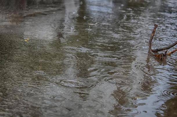 泛滥,冬雨<strong>季</strong>采用以色列.Ra采用水洪水指已提到的人cablerelaystations电缆继<strong>电器</strong>站receivedonaccou