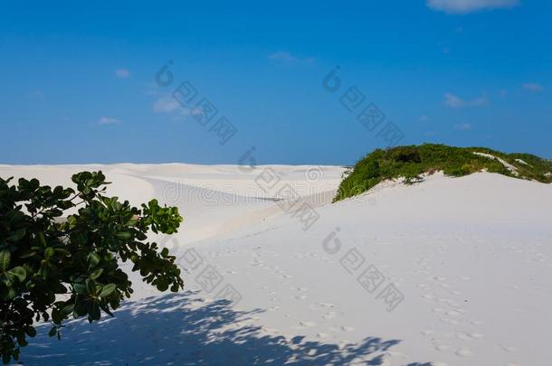 白色的沙沙丘全景画从伦索瓦马兰尼西斯国家的公园