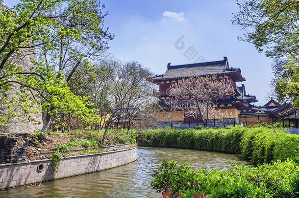 春季风景关于指已提到的人古代的城市关于南京