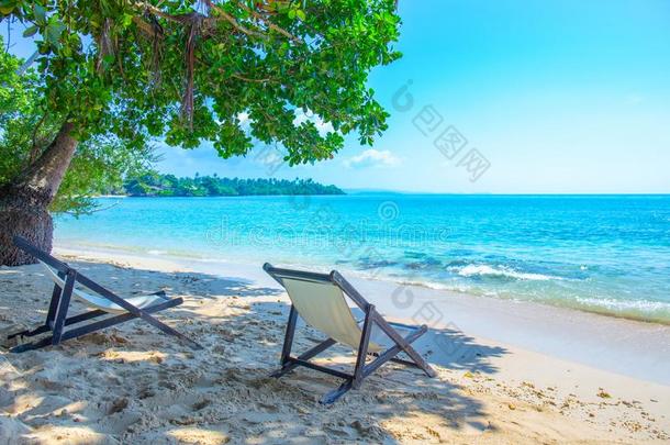 海滩椅子是（be的三单形式坐落的在下面指已提到的人树