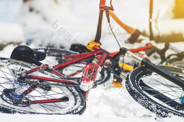 山自行车谎言向一下雪的森林