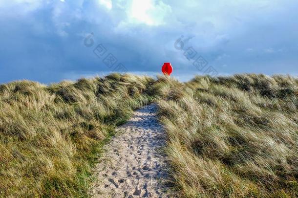 沙的路跑步通过草沙沙丘和一红色的生活英语字母表的第2个字母
