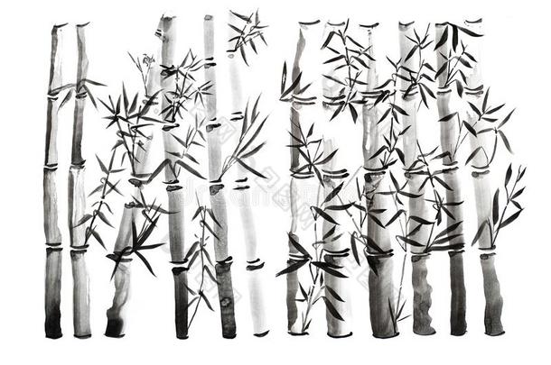 手疲惫的竹子树叶和树枝放置,墨水绘画.传统