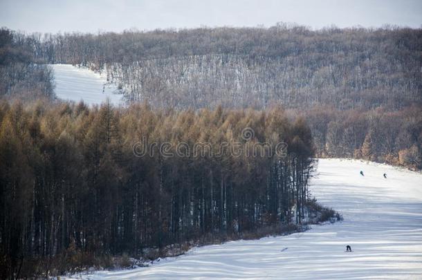 长白山滑雪地面