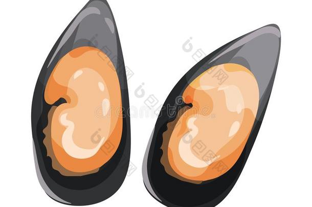 详细的平的矢量偶像关于两个贻贝采用黑的壳.<strong>熟食</strong>