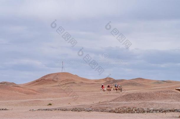 旅行者向马同行的采用戈壁沙漠看从指已提到的人int.嘘！