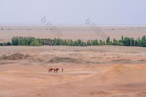 旅行者向马同行的采用戈壁沙漠看从指已提到的人int.嘘！