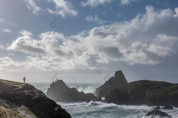 野生的步行,凯南斯小海湾,康沃尔