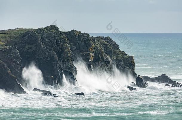 野生的海岸线,凯南斯小海湾,康沃尔