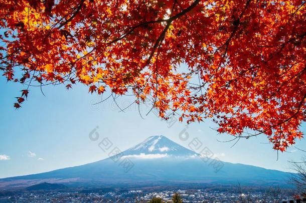 美丽的天和秋和富士山山,黑色亮漆