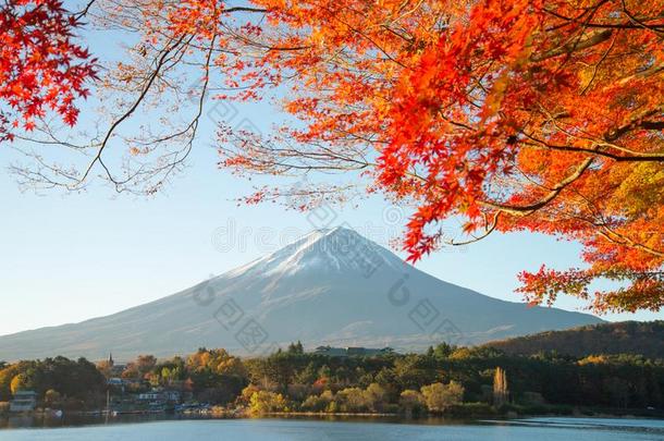 美丽的天和秋和富士山山,黑色亮漆