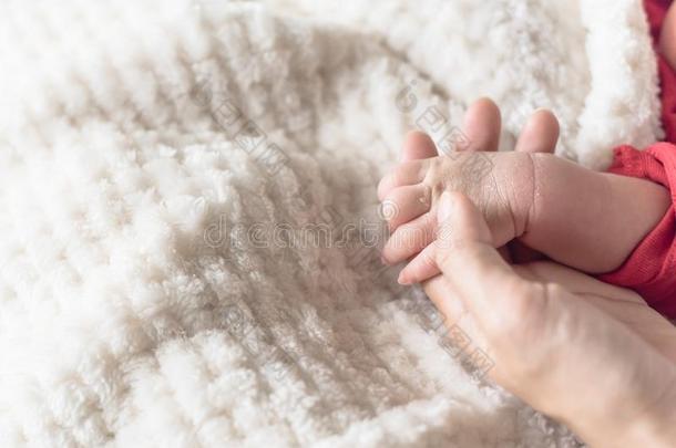 极小的婴儿手采用她mot她手掌为爱和保护康塞普