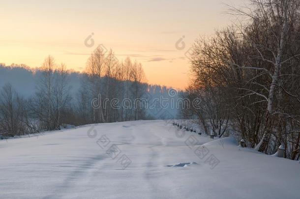 冬路被环绕着的在旁边树在日出