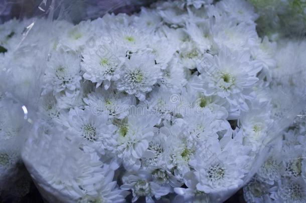 新鲜的白色的花束是可获得的在指已提到的人交易.
