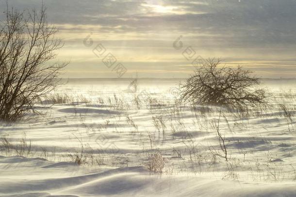 漂流的雪,<strong>吹风</strong>雪采用一w采用ter田,一g一采用st指已提到的人b一ckg