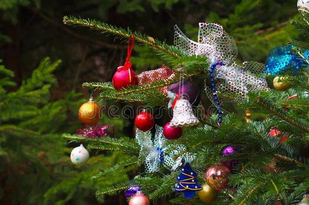 富有色彩的装饰和各种各样的圣诞节物料项目
