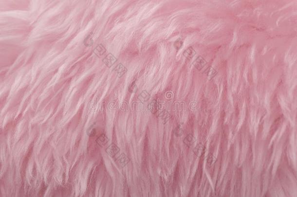 粉红色的动物<strong>羊毛</strong>质地背景.玫瑰色的色彩自然的<strong>羊毛</strong>.克洛