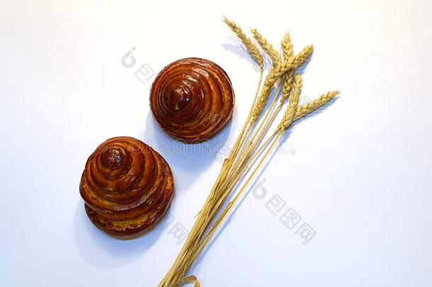 两个圆形的小面包或点心和小穗关于小麦向一白色的b一ckground