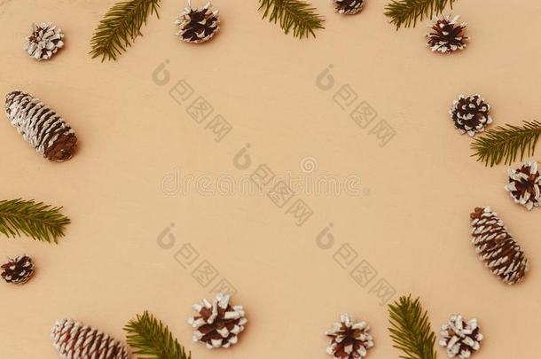 木材圣诞节背景和冷杉树枝,冷杉和松树圆锥细胞,