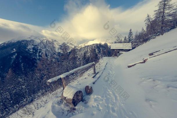 冬风景和第一雪新近阵亡者刚才掩蔽物Thailand泰国