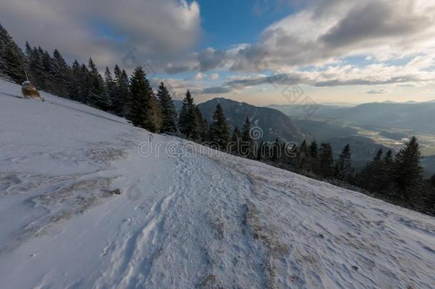 冬风景和第一雪新近阵亡者刚才掩蔽物Thailand泰国