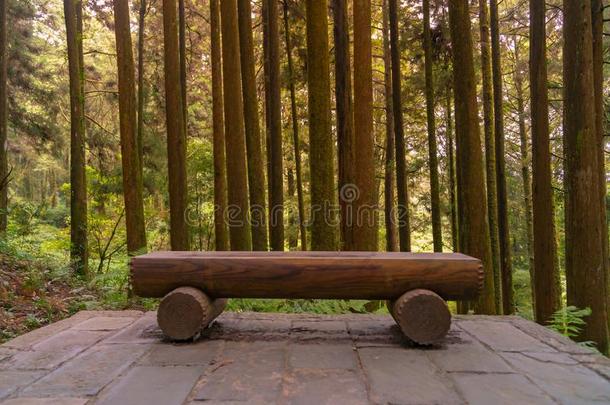 木制的椅子建筑工地选择采用热带的丛林排列台湾