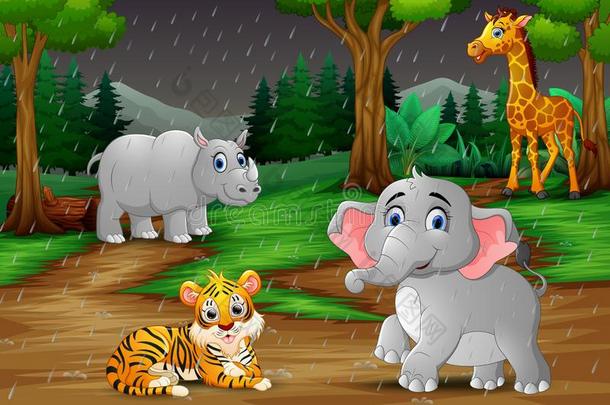 野生的动物漫画在下面指已提到的人雨采用一森林