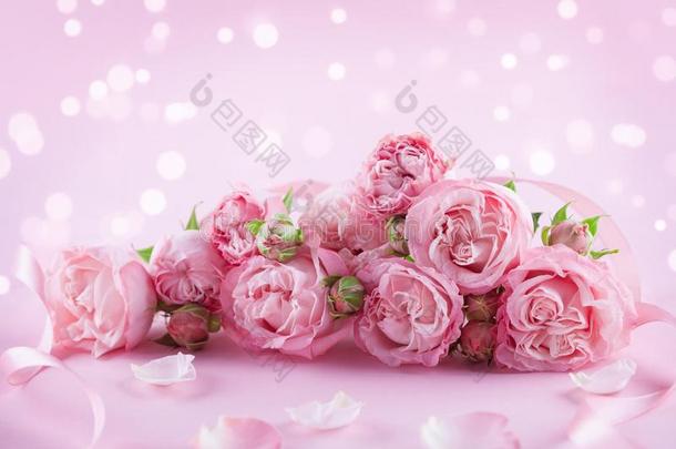 美丽的玫瑰花向粉红色的背景.招呼卡片或Bannockburn班诺克本高级花呢